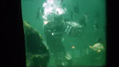 Pennsylvania USA (1958): Person In A Wetsuit Underwater With Fish And A Boat