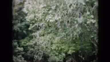 Pennsylvania USA (1958): Coming Around A Bend On A River