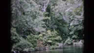 Pennsylvania USA (1958): Floating Through The River In The Middle Of The Forest