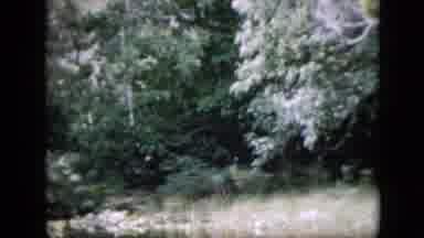 Pennsylvania USA (1958): A Closed Vegetation