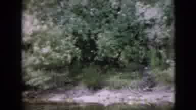Pennsylvania USA (1958): Boating Down The River