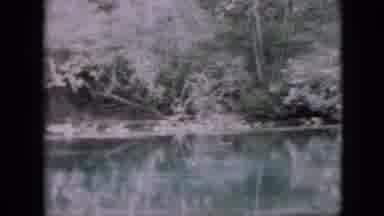 Pennsylvania USA (1958): Landscape Over River Near Woods