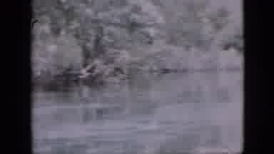 Pennsylvania USA (1958): A Little Monkey Looking At Us As We Come Down The River