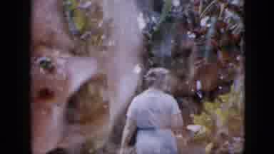 Pennsylvania USA (1958): People Walking Around Near Banana Trees
