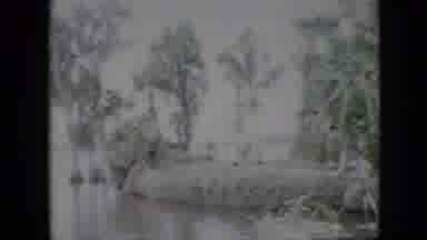 Pennsylvania USA (1958): Island Of A Couple Walking And Looking At Greenery