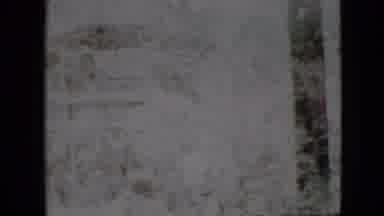 Pennsylvania USA (1958): People Are Walking In The Forest