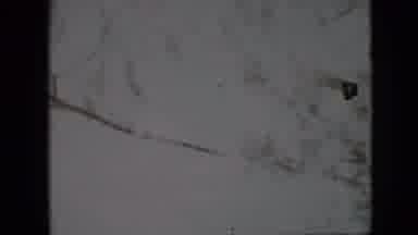 Pennsylvania USA (1958): Nature Scene Of A Winter Background