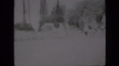 Pennsylvania USA (1958): People Wearing Fancy Dress Doing Some Activities On A