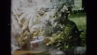 Pennsylvania USA (1958): Family Reunions Picnic Celebration