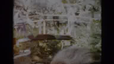 Pennsylvania USA (1958): Travel Tour In A Park