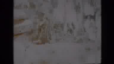Pennsylvania USA (1958): Video Taken Of Shoreline From Inside A Boat On A River