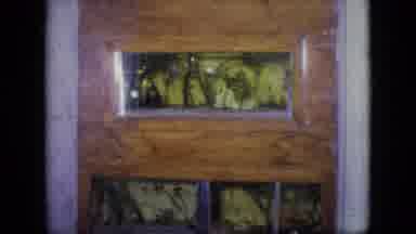 Philadelphia Pennsylvania USA (1964): Bugs Crawling Around In A Cage