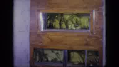 Philadelphia Pennsylvania USA (1964): Display Of Plants In Museum