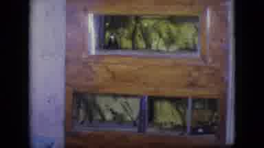 Philadelphia Pennsylvania USA (1964): Green Terrarium
