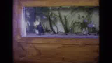 Philadelphia Pennsylvania USA (1964): Fish Swimming In An Office Fish Tank