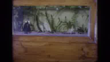 Philadelphia Pennsylvania USA (1964): House With Christmas Decoration And Person