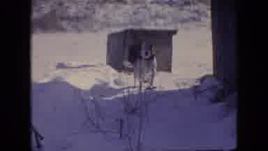 Philadelphia Pennsylvania USA (1964): Dad Kid Family Sledding Snow Hill Dog Home