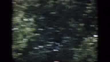 Philadelphia Pennsylvania USA (1964): Nature Scene Travel Vacation Trip