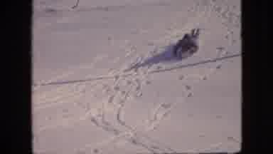 Philadelphia Pennsylvania USA (1964): Little Boy Snow Sliding Dog Winter Cold