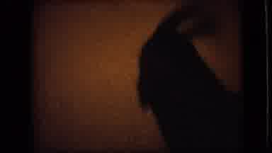 Philadelphia Pennsylvania USA (1964): A Black Do Excitement With His Master As The