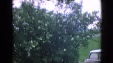Philadelphia Pennsylvania USA (1964): Footage Of A Young Boy Holding Two Rocks