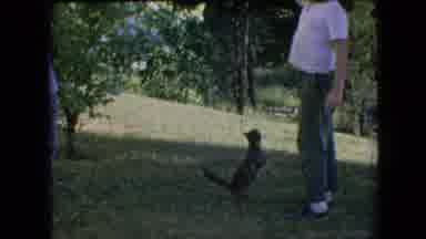 Philadelphia Pennsylvania USA (1964): Me And My Dad Kidding With My Cat