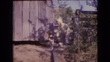 Philadelphia Pennsylvania USA (1964): Boy Playing With His Dog