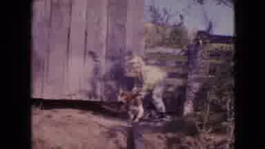 Philadelphia Pennsylvania USA (1964): Waving Child Dog Farm Wheat Field Breeze