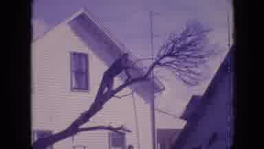 Philadelphia Pennsylvania USA (1964): Man Sawing Branch Falling Off Tree Landing