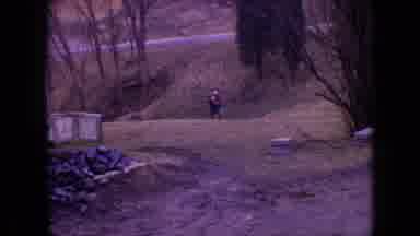 Philadelphia Pennsylvania USA (1964): Person Sitting On A Branch