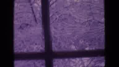 Philadelphia Pennsylvania USA (1964): Looking Through The Window At The Now