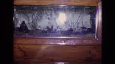 Philadelphia Pennsylvania USA (1964): Fish Tank With Fish