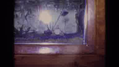Philadelphia Pennsylvania USA (1964): Kids Off To School, Fish Tank Bubbles