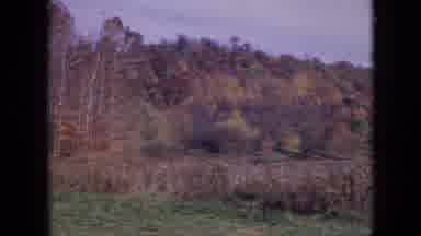 Philadelphia Pennsylvania USA (1964): A Hill Covered With Autumn-Colored Trees