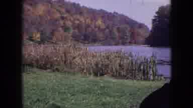Philadelphia Pennsylvania USA (1964): Old Woman Staring At The River