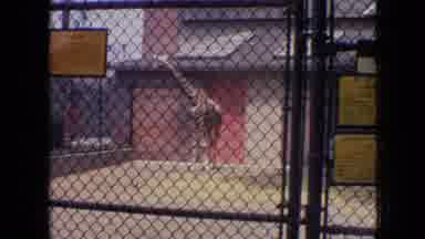 Philadelphia Pennsylvania USA (1964): Day At The Zoo