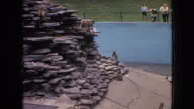 Philadelphia Pennsylvania USA (1964): Animals Enjoying Zoo Times