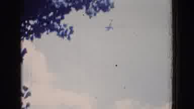 New Jersey USA (1965): Sad Dog Watches Airplane Leave
