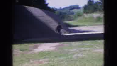 New Jersey USA (1965): Car On Road Trip Vacation Arriving At A Campground