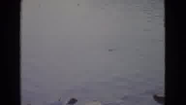 New Jersey USA (1965): Man Catching A Fish In A Lake