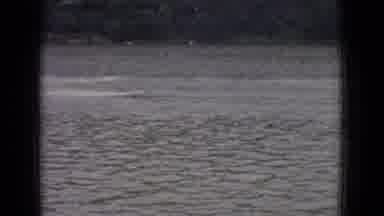 New Jersey USA (1965): Speed Boats Sailing On River At High Speed Near Shore