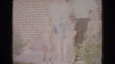 New Jersey USA (1965): Large Family Enjoying A Day Outside In The Sun