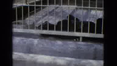 New Jersey USA (1965): Animal Trapped In A Cage