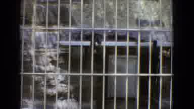 New Jersey USA (1965): Leopard Wandering Around Inside Its Enclosure At A Zoo