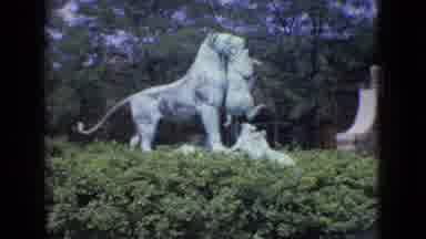 New Jersey USA (1965): Sean Of A Park Or Zoo Showing Statues Of Lion With Cubs