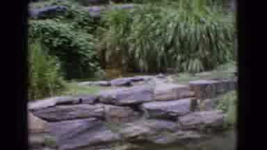 New Jersey USA (1965): Unique View Of Rocks