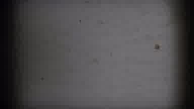 Athens Ohio USA (1966): Girl Jumps And Plays