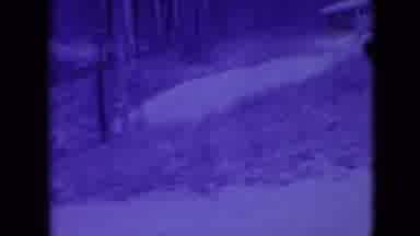 Athens Ohio USA (1966): Winter Landscape With Woods And House