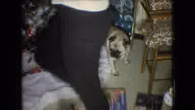 Athens Ohio USA (1966): Owner With His Dog Under A Christmas Tree At Christmas