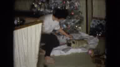 Athens Ohio USA (1966): Pug Dog Sits Under The Christmas Tree